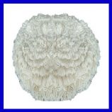 แผ่นผ้าบอนเนต